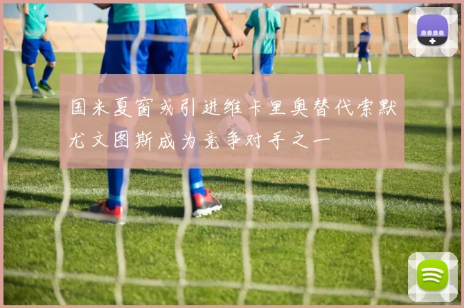 国米夏窗或引进维卡里奥替代索默尤文图斯成为竞争对手之一