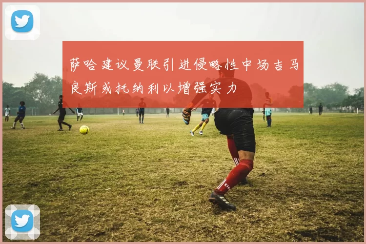 萨哈建议曼联引进侵略性中场吉马良斯或托纳利以增强实力