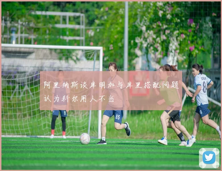 阿里纳斯谈库明加与库里搭配问题认为科尔用人不当