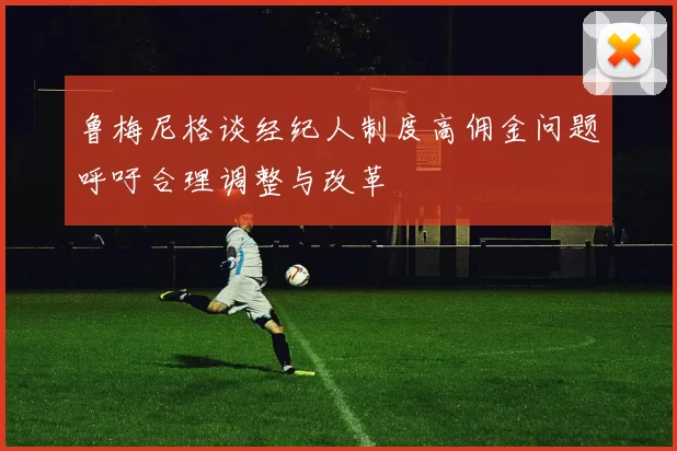 鲁梅尼格谈经纪人制度高佣金问题呼吁合理调整与改革